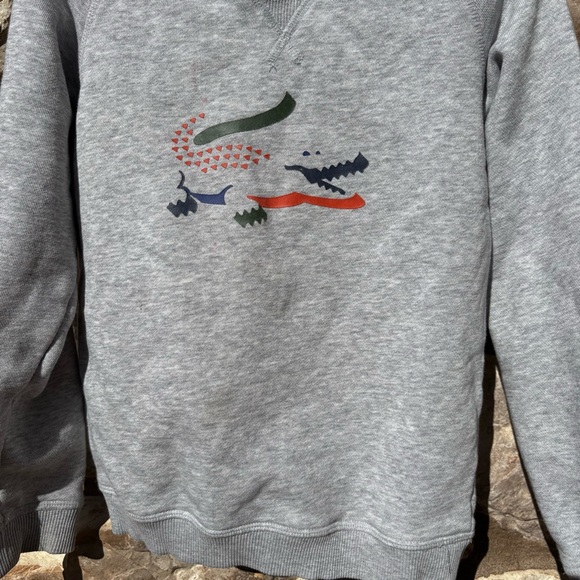 Boy’s Lacoste Gray Sweatshirt Croc Graphic Logo Size 6 Toddler Preppy - Picture 3 of 5
